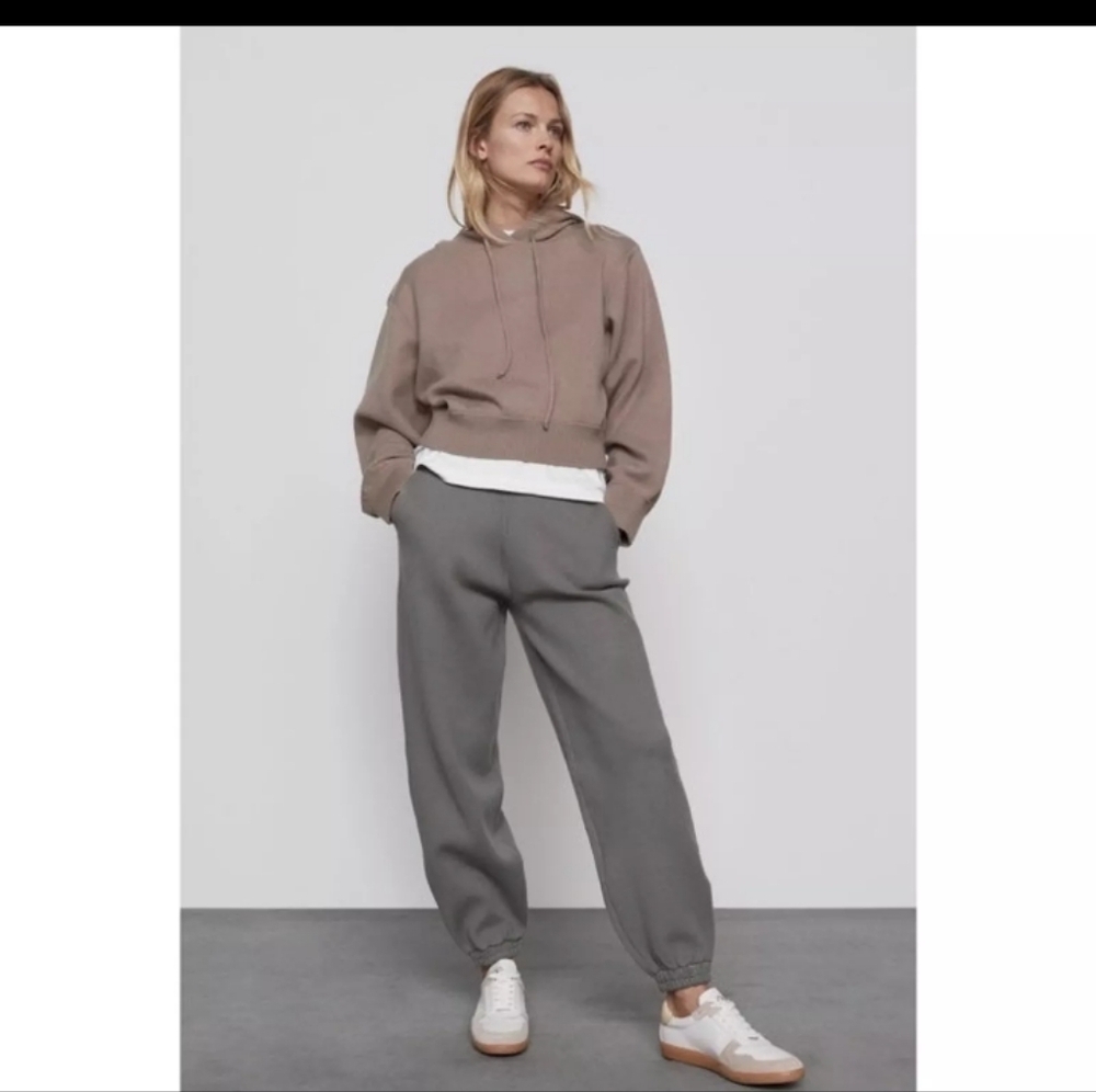 Zara Taupe Cropped Hoodie Oversized Small - Picture 2 of 6